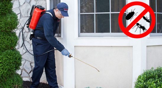 Tosya Hamam Böceği İlaçlama böcek ilaçlama ve haşere kontrolü — ilaclama-tr.com